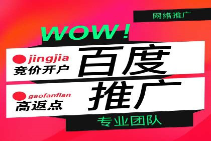 SEM广告投放案例：提升网站流量与转化